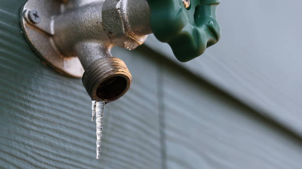 Best Shower Repair Services  in Glendale, MO